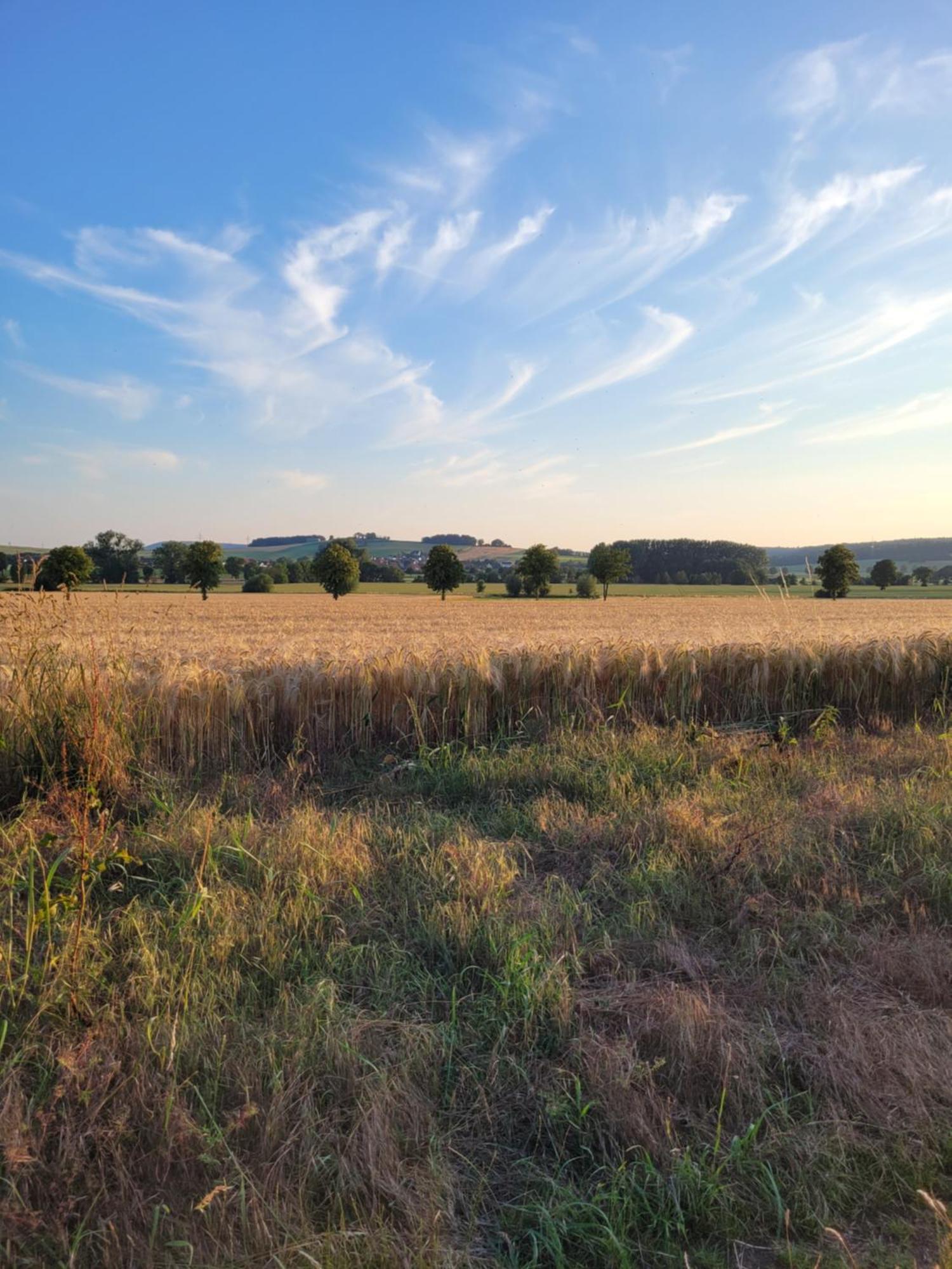 HAuszeit Bad Nenndorf Villa Bagian luar foto